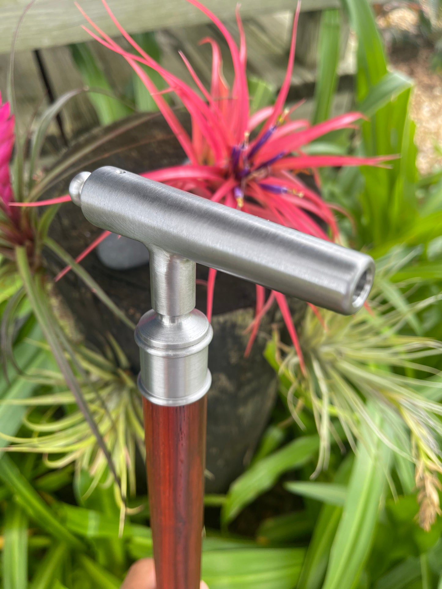 Cheroot / Cannon Cane / Padauk