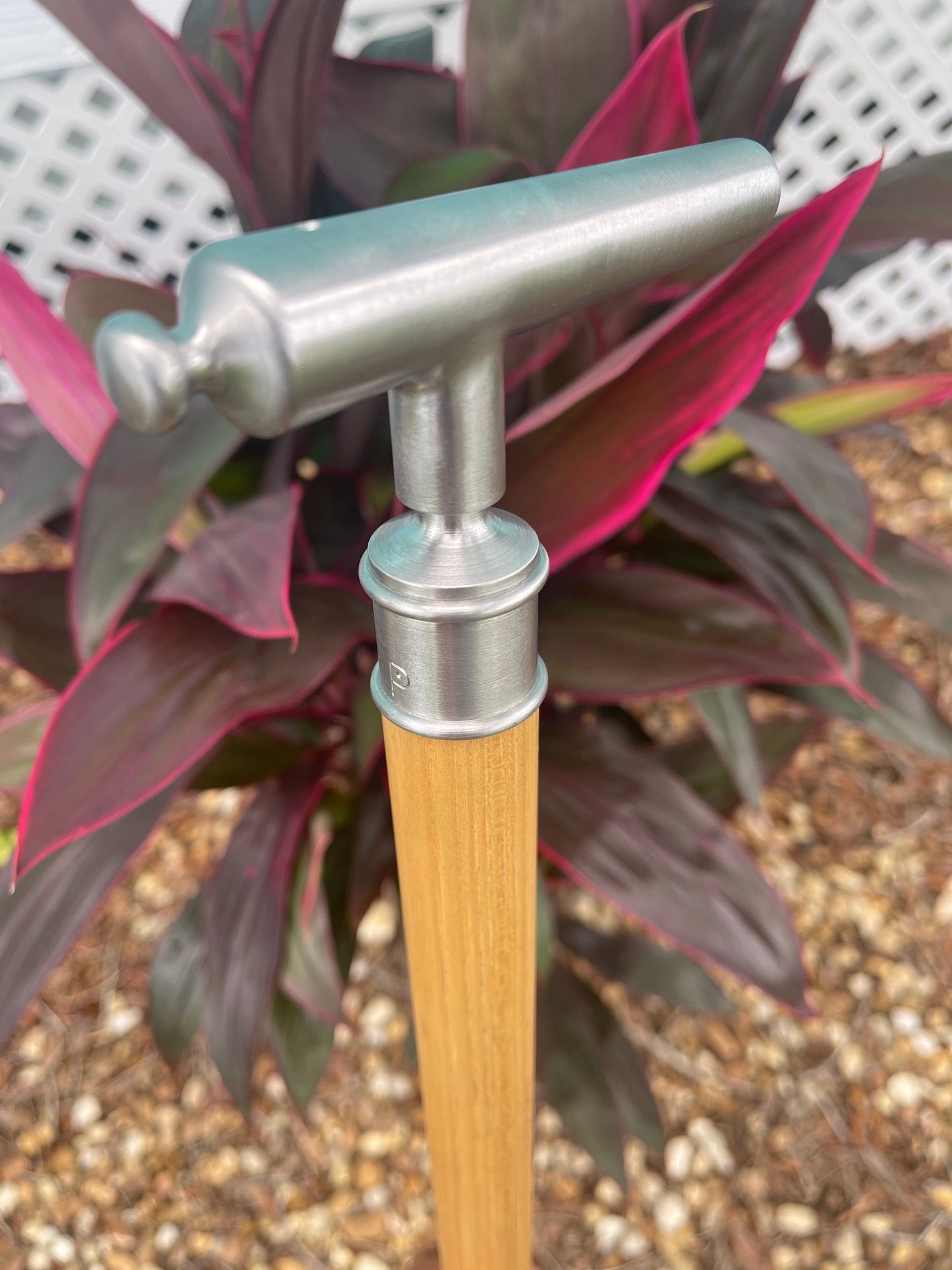 Cheroot / Cannon Cane / Hickory Shaft