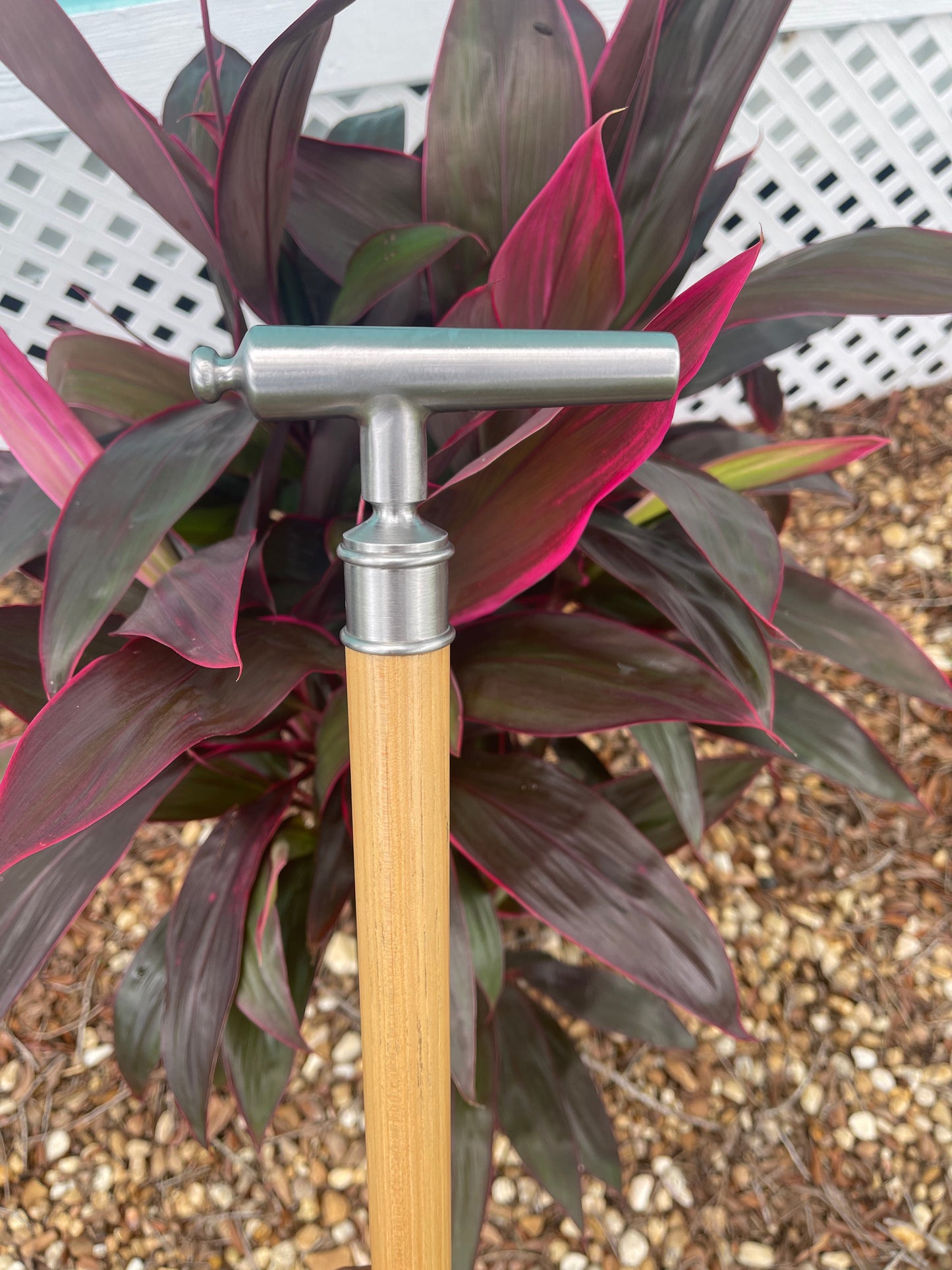 Cheroot / Cannon Cane / Hickory Shaft