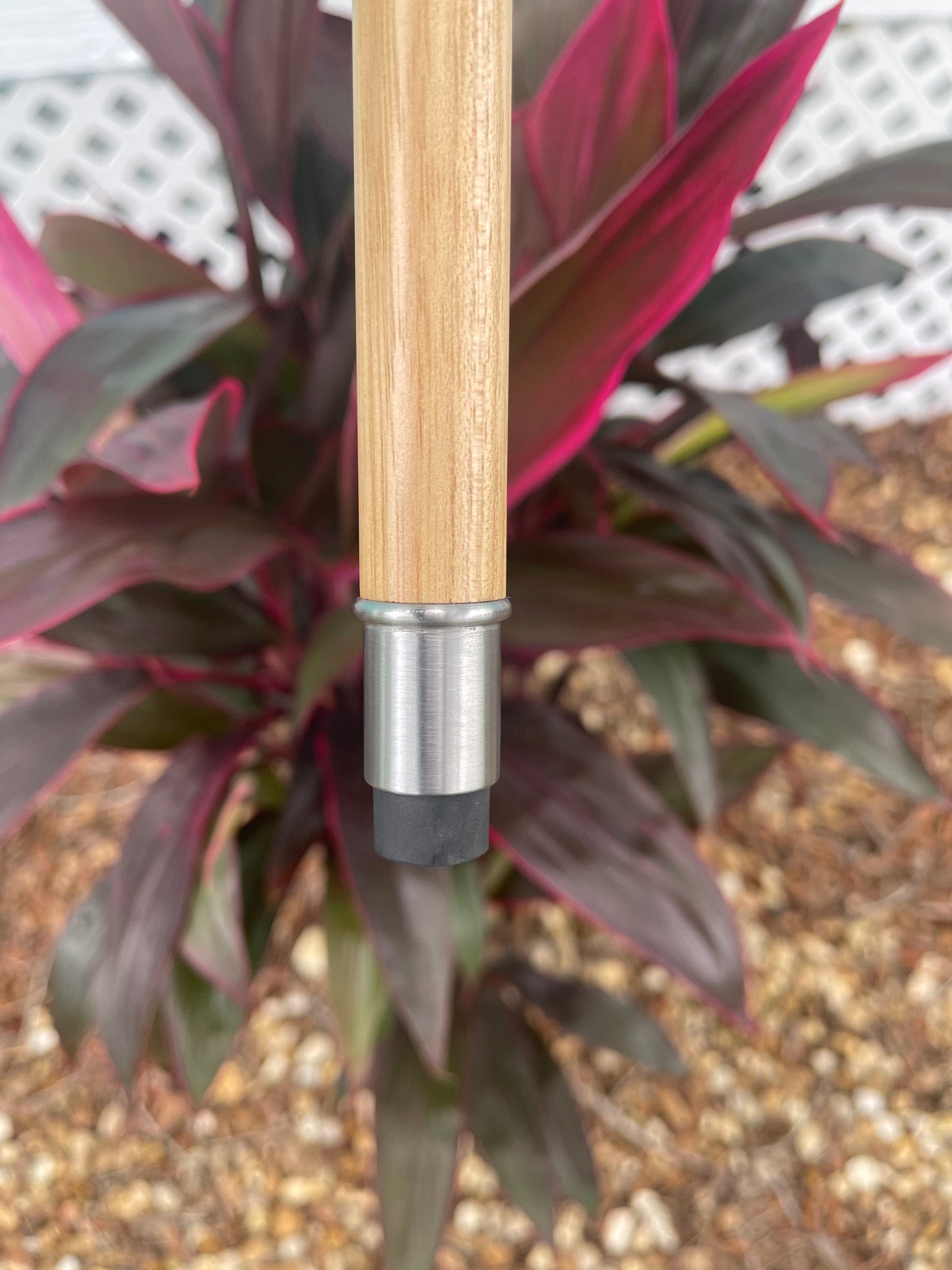 Cheroot / Cannon Cane / Hickory Shaft