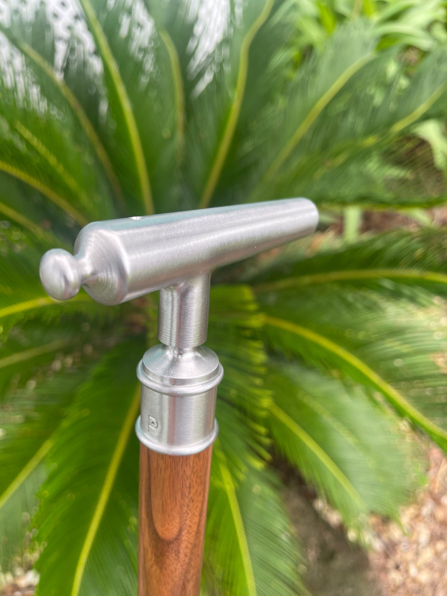 Cheroot / Cannon Cane / Black Walnut Shaft