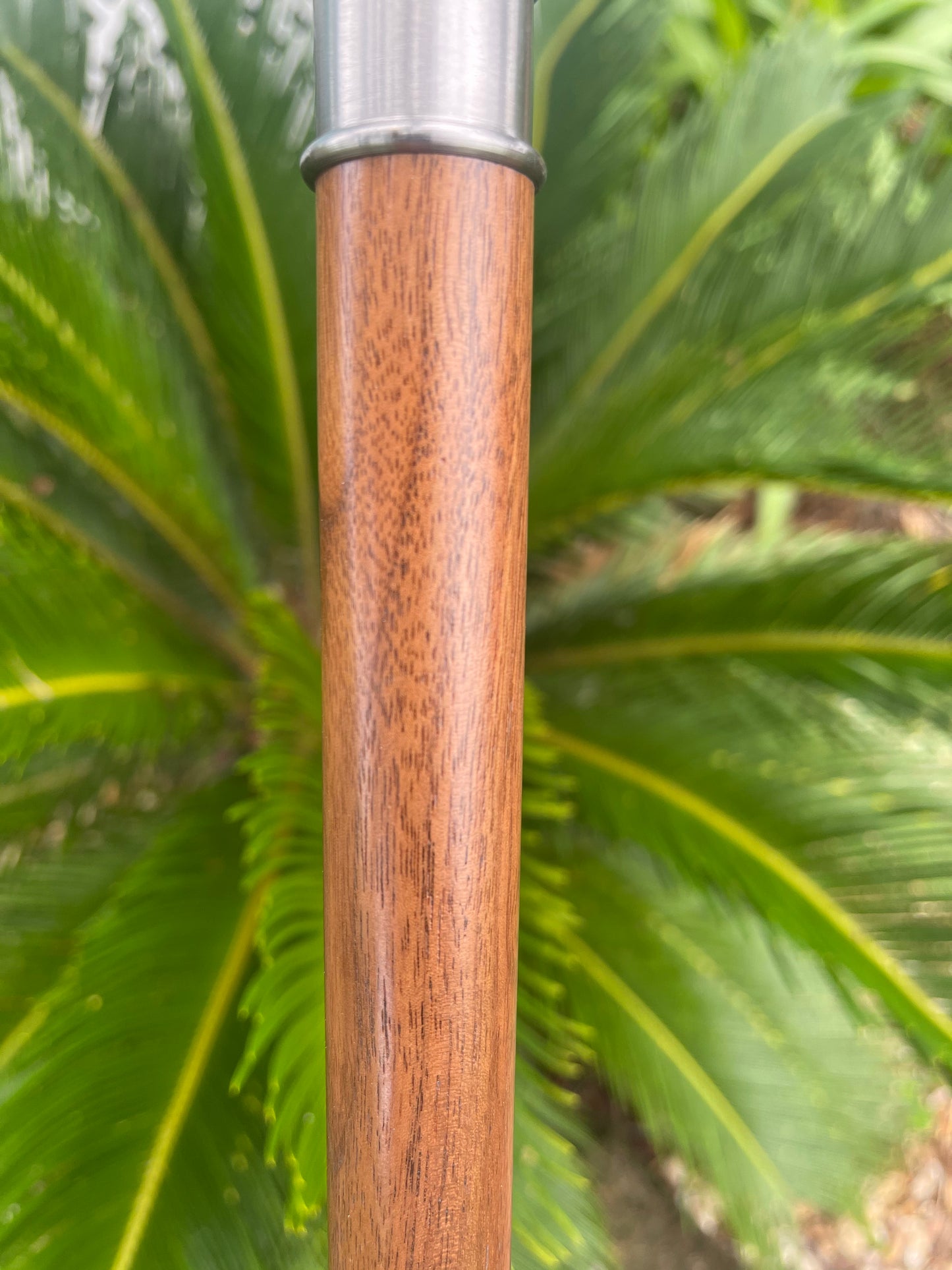 Cheroot / Cannon Cane / Black Walnut Shaft